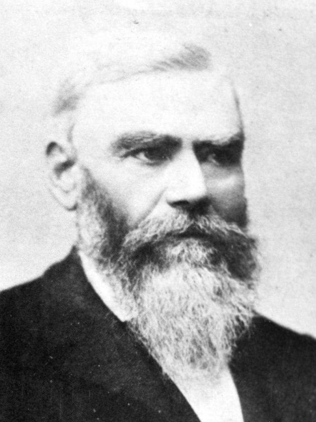 William McMillan (1833 - 1894) Profile